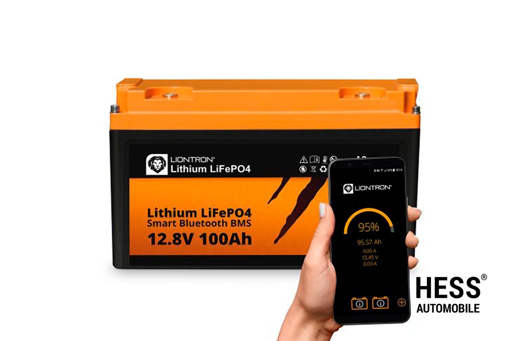 LX-SMART-12-100 A_2117