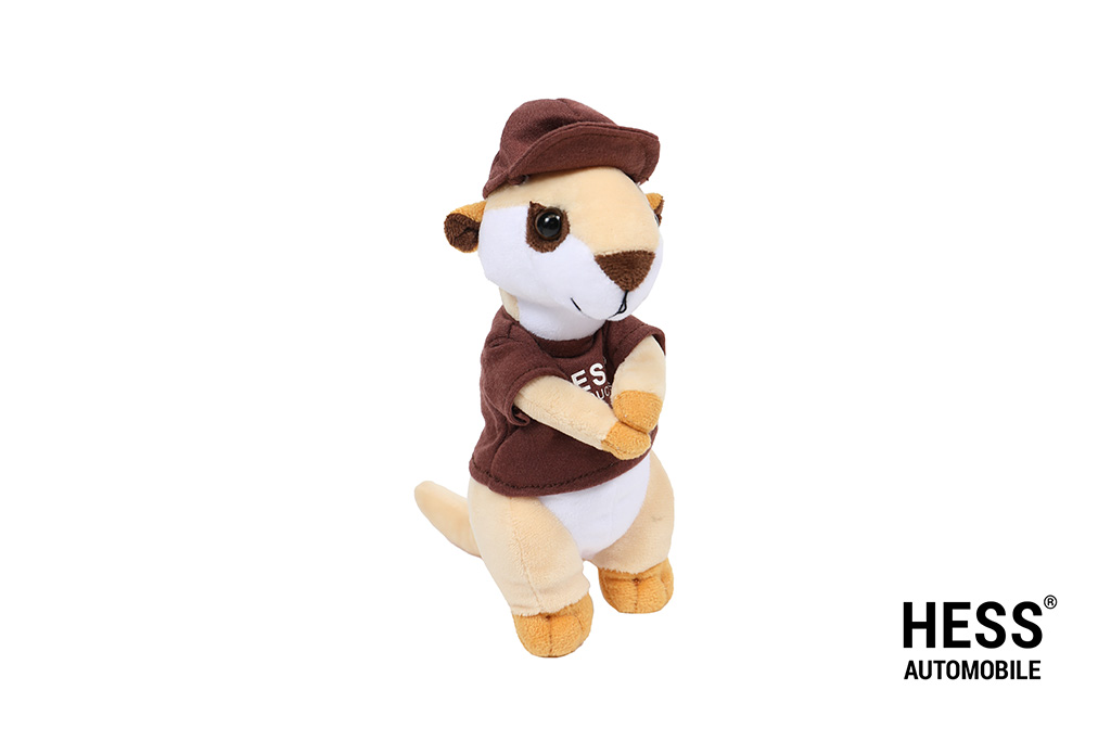 Werni Maskottchen Shirt braun + Cap