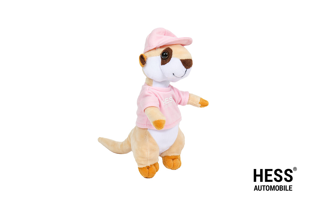 Werni Maskottchen Shirt rosa + Cap