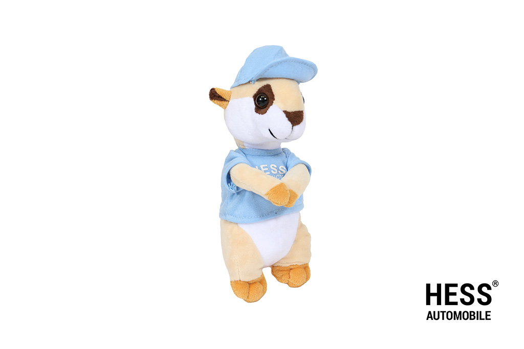 Werni Maskottchen Shirt Blau + Cap