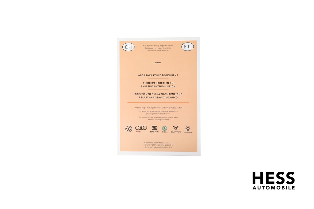 Abgas-Wartungsdokument für Dieselmotoren