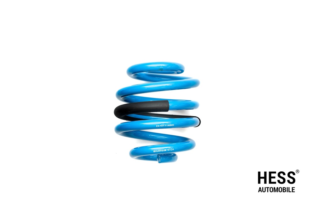 Ersatzfeder hinten B14 V2