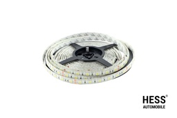 LED10/12VWW